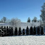 In Os * Osøyro